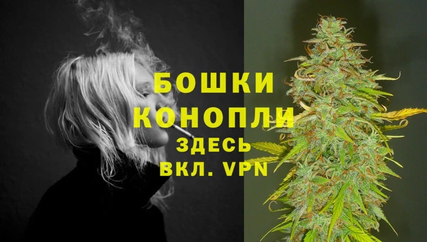 MDMA Новодвинск