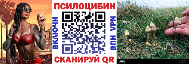 МЕГА сайт  сайты даркнета Telegram  Мыски  Галлюциногенные грибы Psilocybine cubensis  купить  цена 