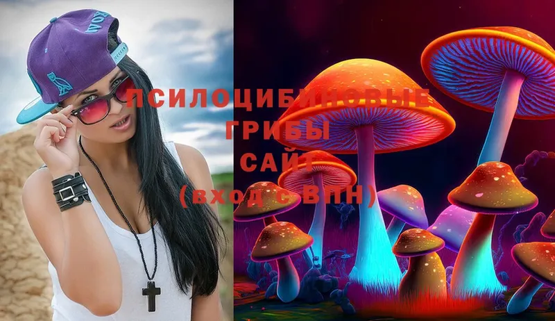 Галлюциногенные грибы Magic Shrooms  цена   Мыски 